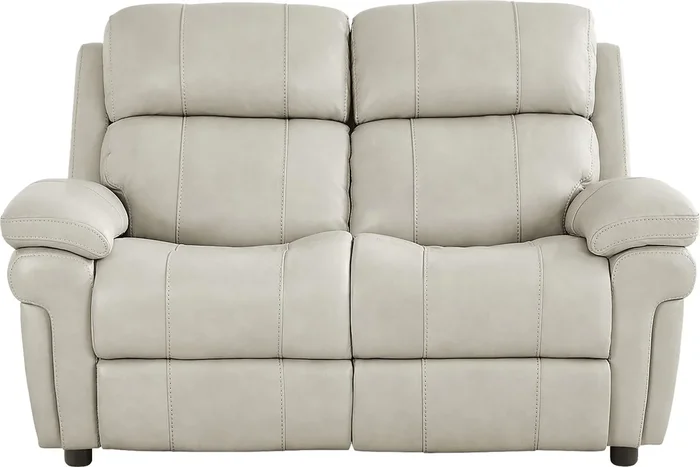 Trevino Lane Gray Leather Stationary Loveseat
