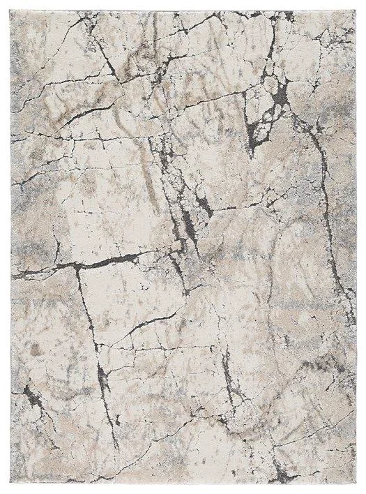 Wyscott 7’10” x 10’3″ Rug
